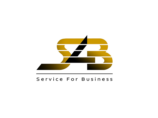 Сайт-визитка строительного холдинга Service 4 Business